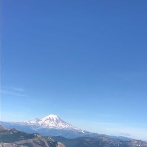 Meet your Posher, Lily